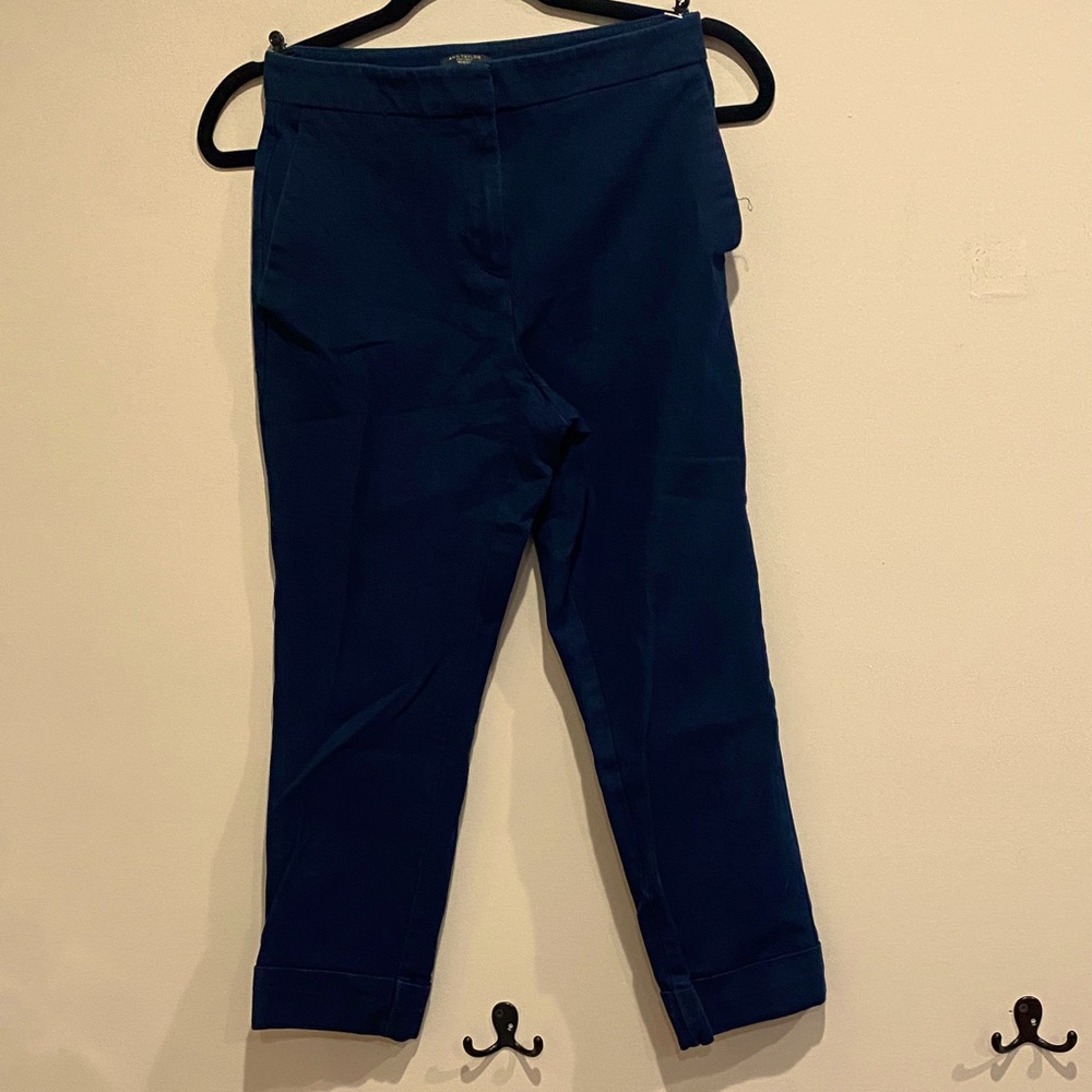 Ann Taylor Dark Blue Trousers